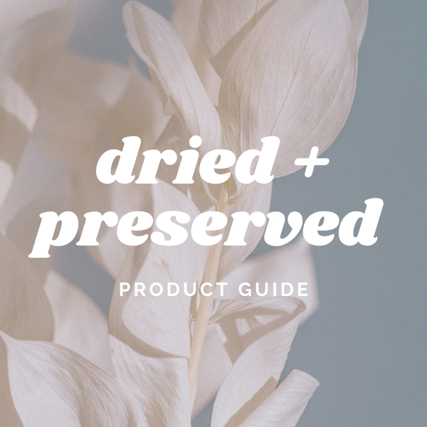 dried & preserved product guide download